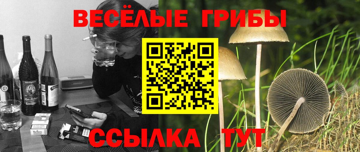 Сызрань  Псилоцибиновые грибы прущие грибы  Вход с VPN 